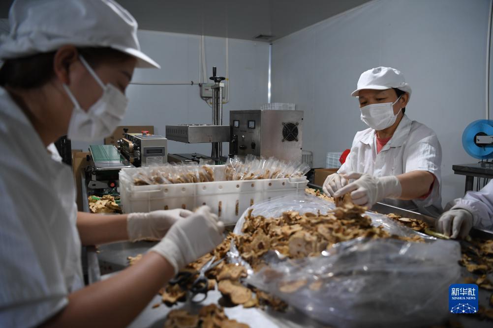 宾利棋牌金管家
